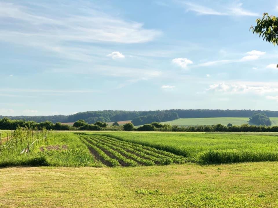Agroturystyka „Nadbuzanski Swit” Wola Uhruska Esterno foto