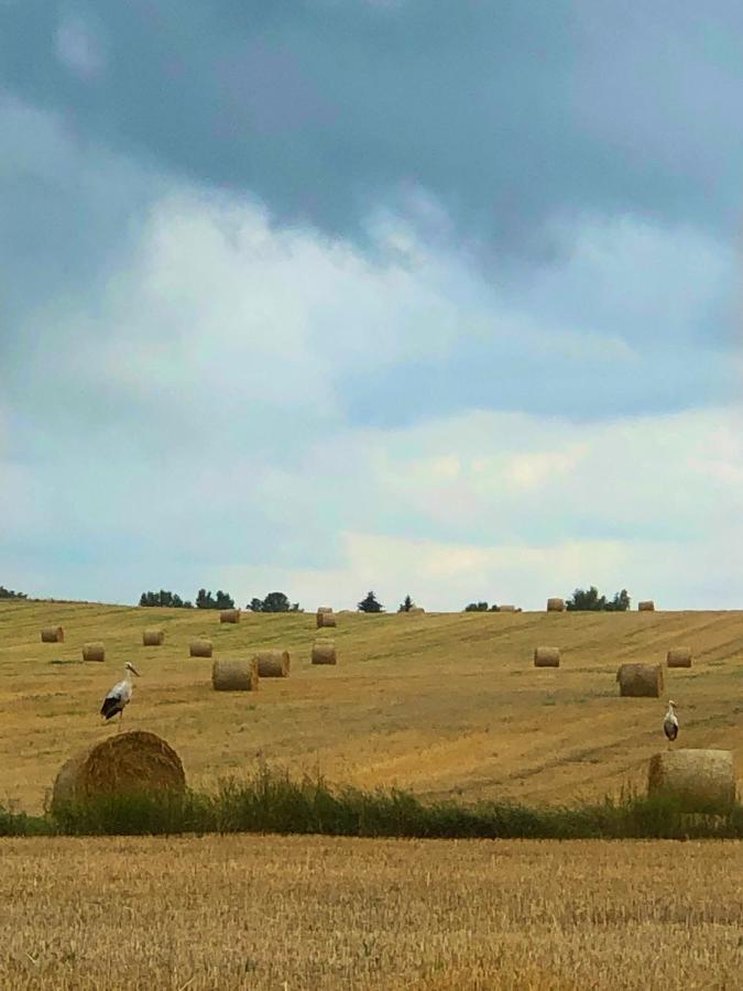 Agroturystyka „Nadbuzanski Swit” Wola Uhruska Esterno foto