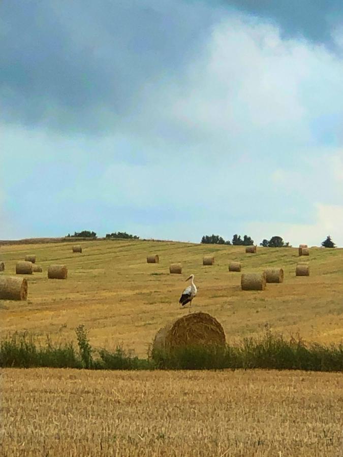 Agroturystyka „Nadbuzanski Swit” Wola Uhruska Esterno foto